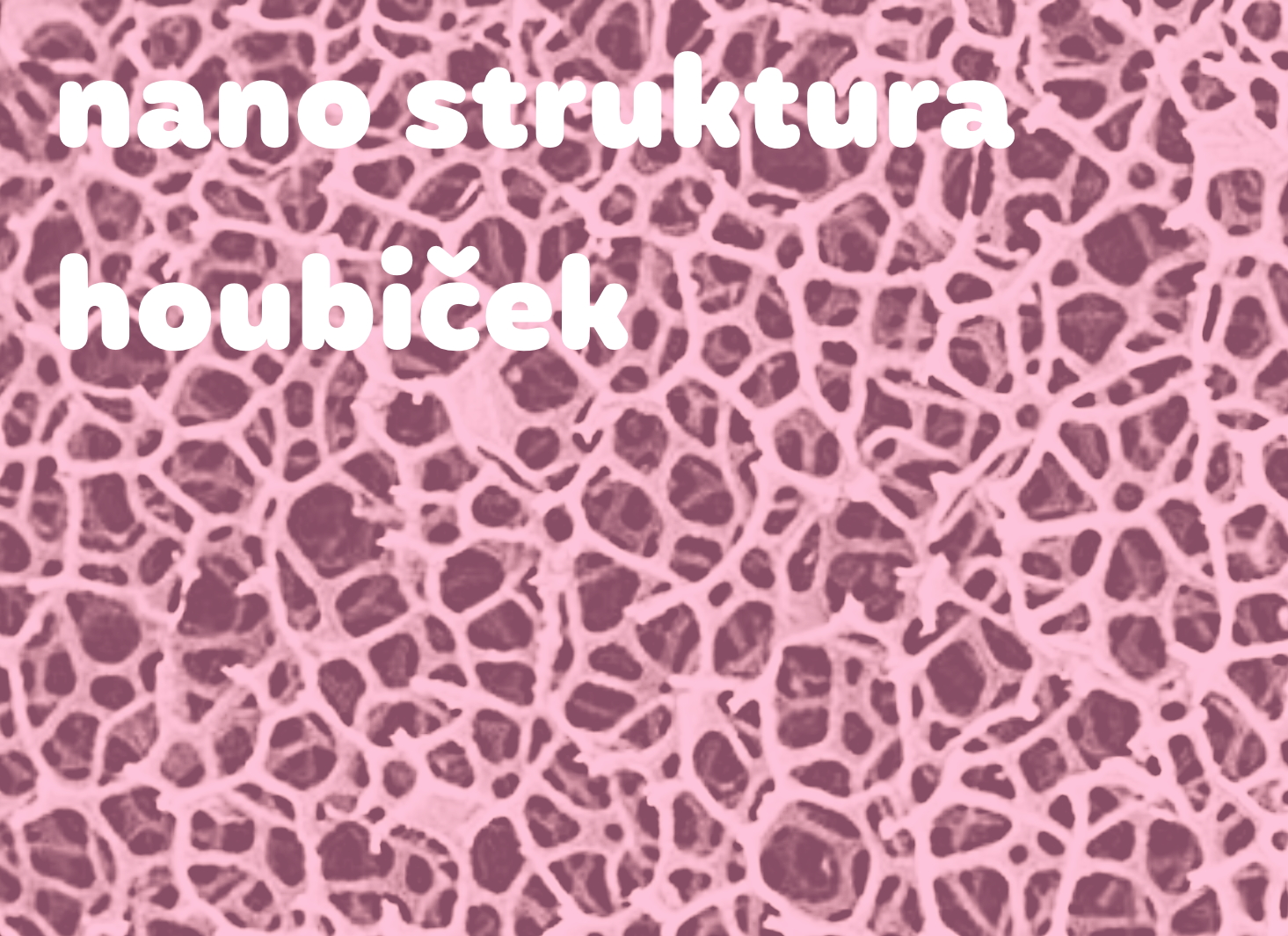 nano struktura